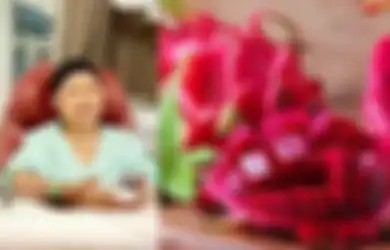 Sutopo Sarankan Ibu Ani Makan Buah Naga, yang Punya Manfaat Luar Biasa untuk Ibu Hamil: Dari Cegah Cacat Hingga Bantu Pembentukan Otak