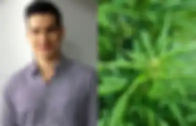 Steve Emmanuel Terjerat Barang Haram Ini, Nyatanya Kompeni Dulu Pernah Melegalkan Madat di Indonesia