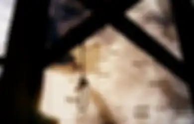 Hukuman Mati di Israel, Paling Terkenal Eksekusi Perwira Senior SS Nazi
