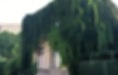 Kisah Rumah-Rumah Hantu Rumania dan Penghuninya yang Terpaksa Pindah