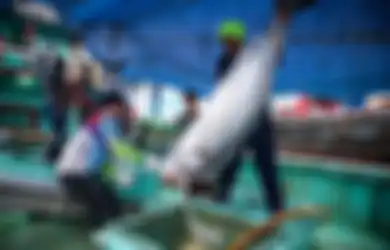Tuna Hingga Lobster Indonesia Kini Rajai Pasar Dunia, Semua Berkat Aksi Menteri Susi Tenggelamkan Ratusan Kapal