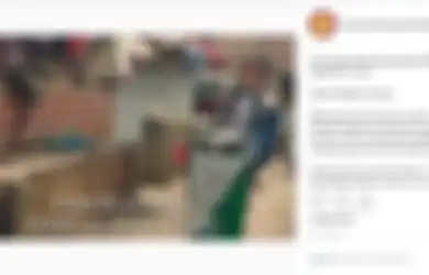 Kisah Pilu Erwin Utama, Siswa SD yang Jualan Siomay untuk Bayar Biaya Sekolah, Kalau Laku Ia Dapat Rp25.000 Sehari