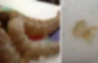 Ditemukan Udang yang Disuntik dengan Gel Berbahaya di China untuk Menghasilkan Keuntungan yang Besar