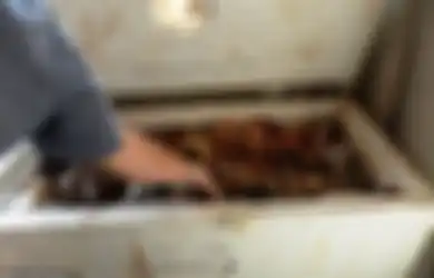 Demi Tutupi Pembunuhan Istrinya, Pria Ini Simpan Mayat Istrinya 106 Hari dalam Freezer
