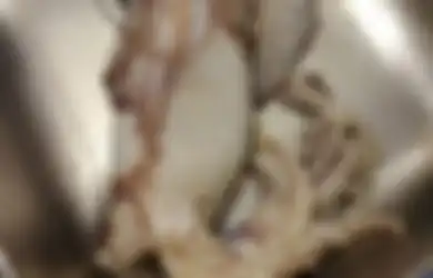 Beli Cumi-cumi, Pria Ini Terkejut Temukan Ikan Hiu dalam Perutnya