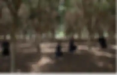 Kisah Kota Misterius dengan Kedamaian yang Tiba-tiba Terusik Karena Isu Anak Gadis Mereka Diperkosa 'Iblis'
