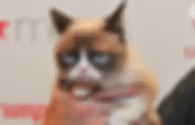 Kucing Paling Terkenal di Dunia Mati, Ini Alasan Mengapa Bangkai Kucing yang Mati dalam Kondisi 'Wajar' Jarang Terlihat