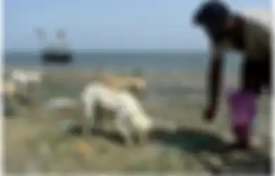 Mulianya Hati Nelayan Muslim yang Rutin Memberi Makan Anjing-anjing Terlantar di 'Pulau Anjing'