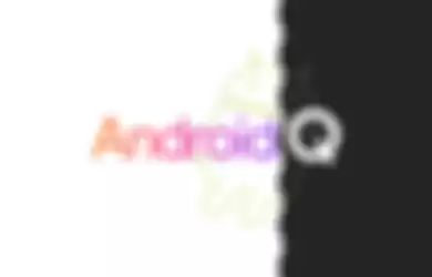 Android Q