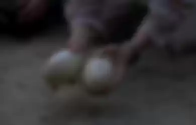 Telur raptor di film Jurassic Park 3