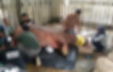 Sang Jantan Terakhir di Malaysia Mati, Harapan Kelestarian Badak Sumatera Kini di Tangan Indonesia