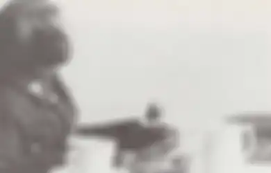 Kisah Seekor Monyet Berpangkat Kopral yang Jadi Tentara Andalan Dalam Perang Dunia I, Ini Tugasnya