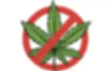 Aplikasi jual-beli marijuana resmi dilarang masuk ke Google Play Store
