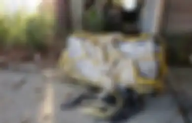Temukan Paketan Segelondong di Pinggiran Pantai, Wisatawan Terkejut Isinya Benda Haram Senilai Rp14 Triliun