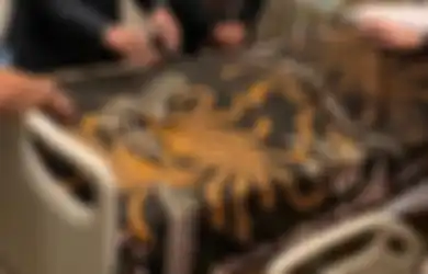 Kisah di Balik Batik yang Selimuti Jenazah Ani Yudhoyono saat di RS