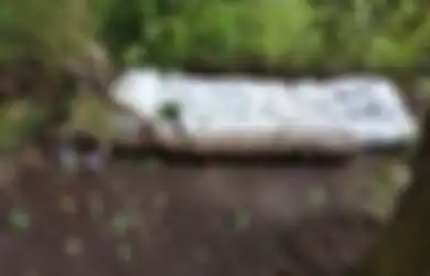 Seorang Ibu Terkejut Temukan Tempat Prostitusi Terselubung di Tengah Hutan Samping Sekolah SD Anaknya