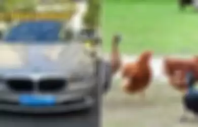 Petani Kaya Ini Terpaksa Curi Bebek dan Ayam Warga Desa Demi Beli Bensin BMW-nya yang Seharga 4 Miliar, Ini Video Kisahnya
