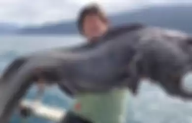 Meski Sudah Terpisah dengan Badannya, Kepala Ikan Ini Sanggup Menghancurkan Kaleng Soda, Begini Videonya!