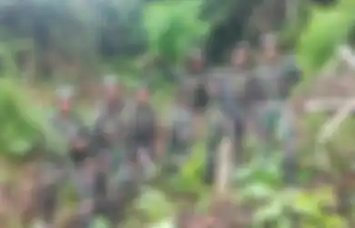 Sedang Patroli Perbatasan Indonesia-Papua Nugini, TNI Justru Temukan Ladang Ganja Seluas 4 Hektar