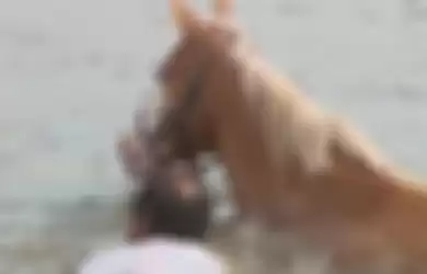 Pahlawan di Tengah Bencana, Lihat Kisah Penyelamatan Kuda yang Terjebak Banjir Ini