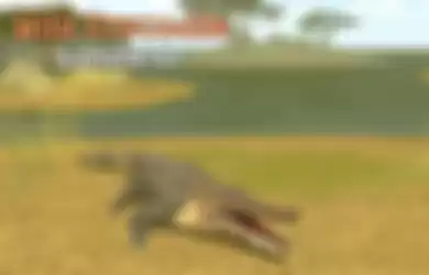 Wild Crocodile Simulator 3D