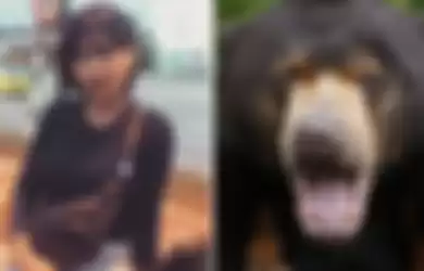 Viral Video penyanyi Malaysia bawa beruang madu ke kondominiumnnya.