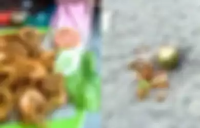 Viral video satu porsi udang Rp 250 ribu di Pantai Jono, Sumatera Utara
