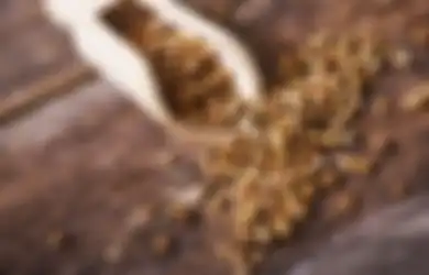 Coba Minum Air Rendaman Ketumbar 3 Hari, Hasil Luar Biasa Didapatkan Wanita Ini