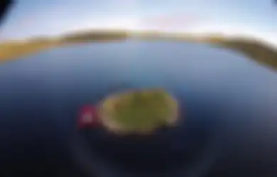 Canggih, Siapa Sangka Pulau Buatan Ini Sudah Dibangun 5.600 Tahun yang Lalu