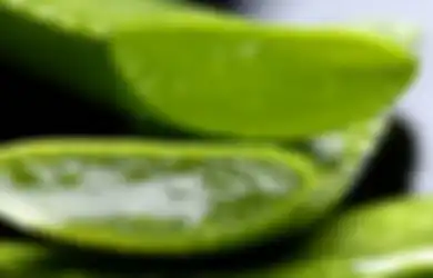 Menakjubkan, Inilah 15 Hal Ajaib yang Terjadi Jika Penderita HIV/AIDS Terus Mengonsumsi Lidah Buaya