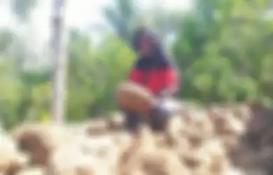 Kisah Paidi, Mantan Pemulung yang Berhasil Berangkatkan Umroh Orang Sekampung Hanya Dengan Bisnis Umbi Porang