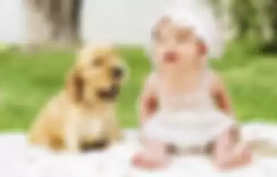 Ilustrasi bayi dan anjing