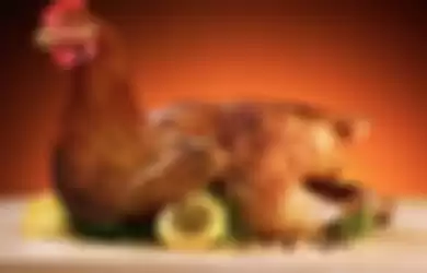 Ilustrasi daging ayam