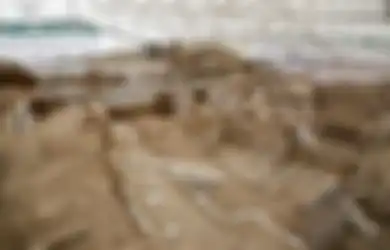 Ini Buktinya Jika Hidup di Kota Selalu Penuh Dengan Tantangan, Bahkan Sejak Ribuan Tahun Lalu!