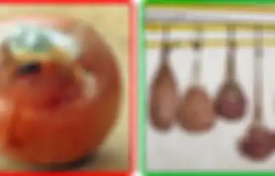 Tak Disimpan di Dalam Kulkas? Tenang, Ini 5 Tips Agar Buah dan Sayuran Tetap Segar dan Bisa Bertahan Lebih Lama