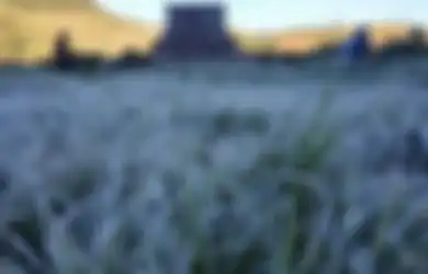 Viral Suhu Ekstrem Dieng, Benarkah Masa Lalu Indonesia Memiliki Musim Salju?