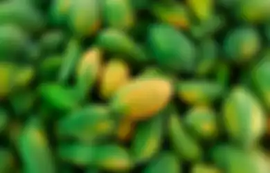Bukannya Sehat, 62 Warga Malah Terkena Wabah Salmonella Setelah Makan Pepaya Impor