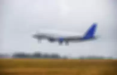 Penumpang Gelap Terlempar dari Pesawat, Tubuhnya Jatuh Tepat di Sebelah Pria yang Sedang Berjemur