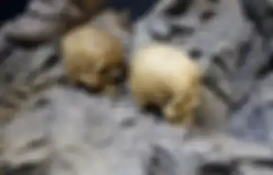 Mengenal Kehidupan Aghori, Sekte yang Tinggal di Kuburan dan Hanya Makan Daging Manusia, Kotoran, Serta Racun
