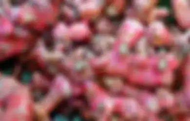 Harga Jahe Merah Tembus Rp100.000/Kg Karena Dampak Corona, Rupanya Khasiatnya pun Tak Main-main dari Perkuat Imunitas Tubuh hingga Jaga Kondisi Jantung