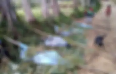 Ibu Hamil dan Anak-anak Jadi Korban Pembantaian Suku di Papua Nugini, Tubuh Terpotong-potong, Rumah pun Terbakar