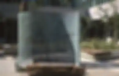 30 Tahun Jadi Misteri, Banyak Profesional Internasional Coba Pecahkan Patung Kode Ini, Anda Tertarik?