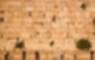 Konon Jika Ular Keluar dari Tembok Barat Israel Ini, Maka Itu Pertanda Hari Kiamat Sudah Dekat