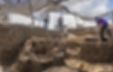 Menakjubkan, Israel Temukan Permukiman Zaman Batu Berusia 9.000 Tahun Terbesar di Dunia, Apa Isinya?