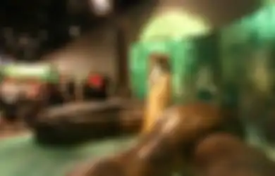 Titanoboa, Ular Purba Seberat 1 Ton yang Bisa Telan Buaya Utuh-utuh