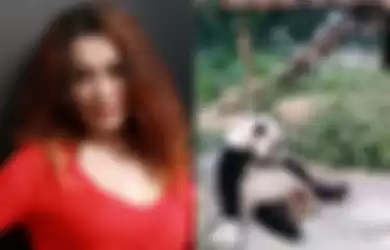 Video Terpopuler, Kemarahan Reza Artamevia yang Seperti Diketahui Pernah Intip Ritual Seks Menyimpang Hingga Turis Lempar Batu ke Panda