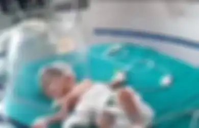 Kisah Ajaib Seorang Bayi yang Diselamatkan oleh Anjing Liar Ketika Ibunya Ingin Membunuhnya