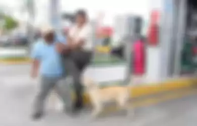Video Anjing yang Diadopsi SPBU,  Balas Budi dengan Jadi Pahlawan Saat Ada Perampokan Bersenjata