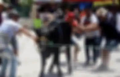 Hanya untuk Diminum Darahnya Demi Sebuah Tradisi, Banteng Ini Dibunuh dengan Cara Dibantai Secara Brutal