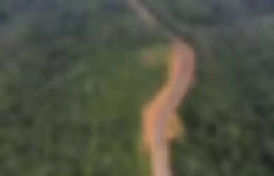 Foto udara kawasan Bukit Nyuling, Tumbang Talaken Manuhing, Gunung Mas, Kalimantan Tengah, Kamis (25/7/2019). Daerah yang menjadi bakal calon Ibu Kota Negara itu telah ditinjau oleh Presiden Joko Widodo pada bulan Mei lalu saat mengecek kelaikan lokasi terkait wacana pemindahan Ibu Kota Negara.